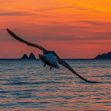 Pied Dans L'eau * La Seyne-sur-Mer